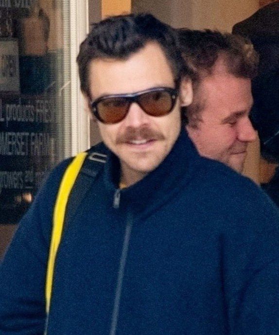 Harry Styles zapuścił bujnego wąsa