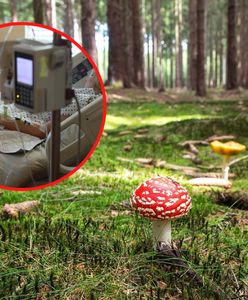 Śmiertelna moda z TikToka w Polsce. Drgawki, psychoza a nawet śmierć