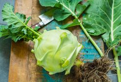 Kalarepa – smaczna i zdrowa. Jak ją jeść?