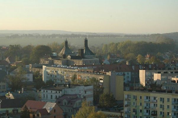 Obraz