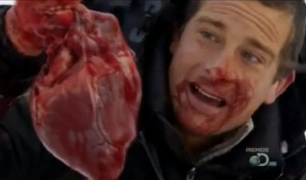 Najobrzydliwsze rzeczy, które zrobił i zjadł Bear Grylls!
