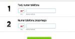 Gadu-Gadu uruchamia własny serwis VoIP