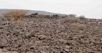 Archeolodzy znaleźli starożytne grobowce dzięki Google Earth