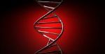 Komputer z DNA oblicza pierwiastki