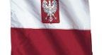 Prawie co drugi Polak korzystał w 2009 r. z internetu