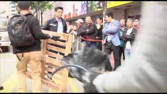 Komentarze po ostatecznym usunięciu przez policję obozu demonstrantów