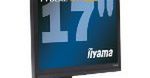 Nowości od iiyama - dwa monitory serii ECO