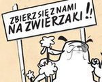 1 zł dla zwierząt za każdego fana Kota Ryśka