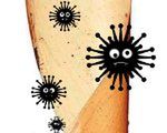 Czy skanery antywirusowe faktycznie łapią wirusy?