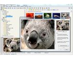 FastStone Image Viewer 4.1 - innowacyjna przeglądarka grafiki