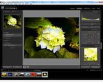 Adobe Lightroom 3 - pakiet graficzny dla fotografa