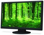 NEC AccuSync AS231WM - biznesowe 23 cale Full HD