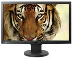 Eizo EV2334W-T - 23-calowa nowość wyczulona na obecność użytkownika