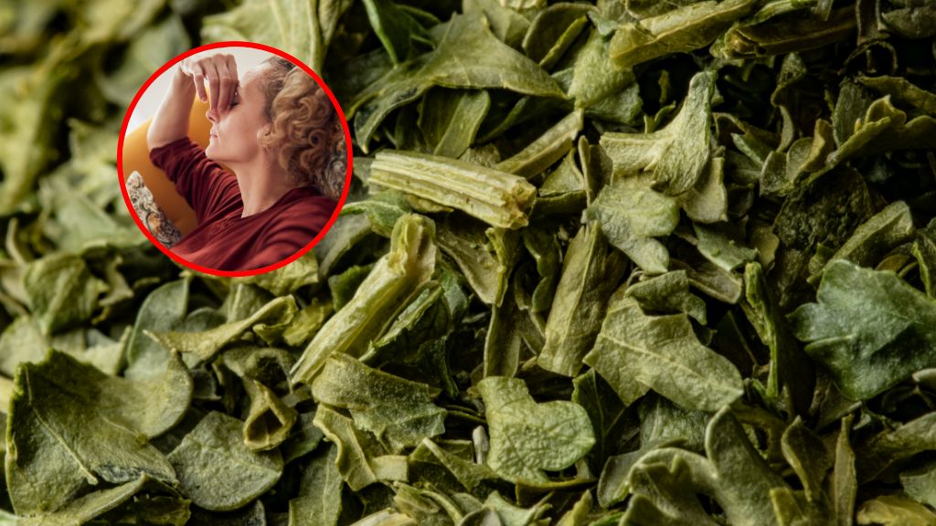 Te substancje mogą "oczyszczać mózg". Przełomowe odkrycie naukowców