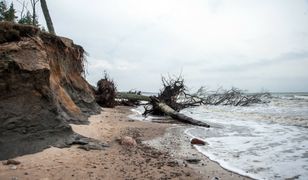 Bałtyk podmył klif w Orzechowie. "Bardzo duże straty"