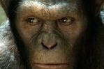 ''Dawn of the Planet of the Apes'': Małpy wrócą za dwa lata