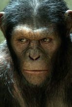 ''Dawn of the Planet of the Apes'': Małpy wrócą za dwa lata