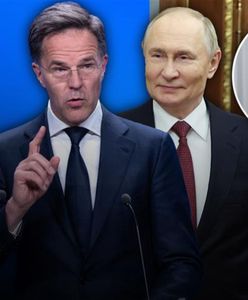 Napięcie na linii NATO-Rosja. "Dla Putina powinno być jasne, że jego samoloty zostaną zestrzelone"