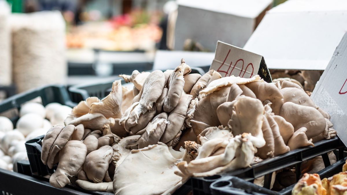 Przed zakupem grzybów, koniecznie zadaj sprzedawcy jedno pytanie