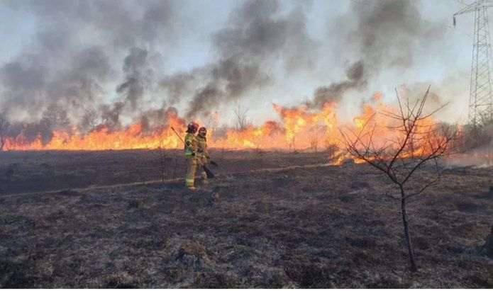 Za wypalanie traw zapłacisz krocie. Sejm zaostrza przepisy