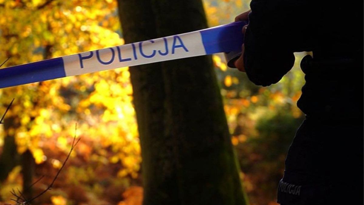 Policja ostrzega grzybiarzy przed zagrożeniami w lesie
