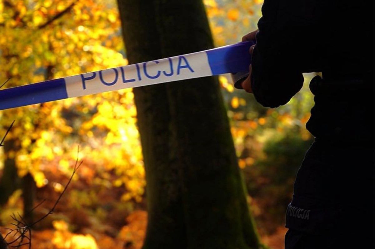 Policja ostrzega. Jest apel do grzybiarzy. "Dzwonić na 112"