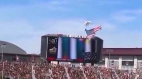 Dramatyczne sceny przed meczem. Służby od razu ruszyły do akcji