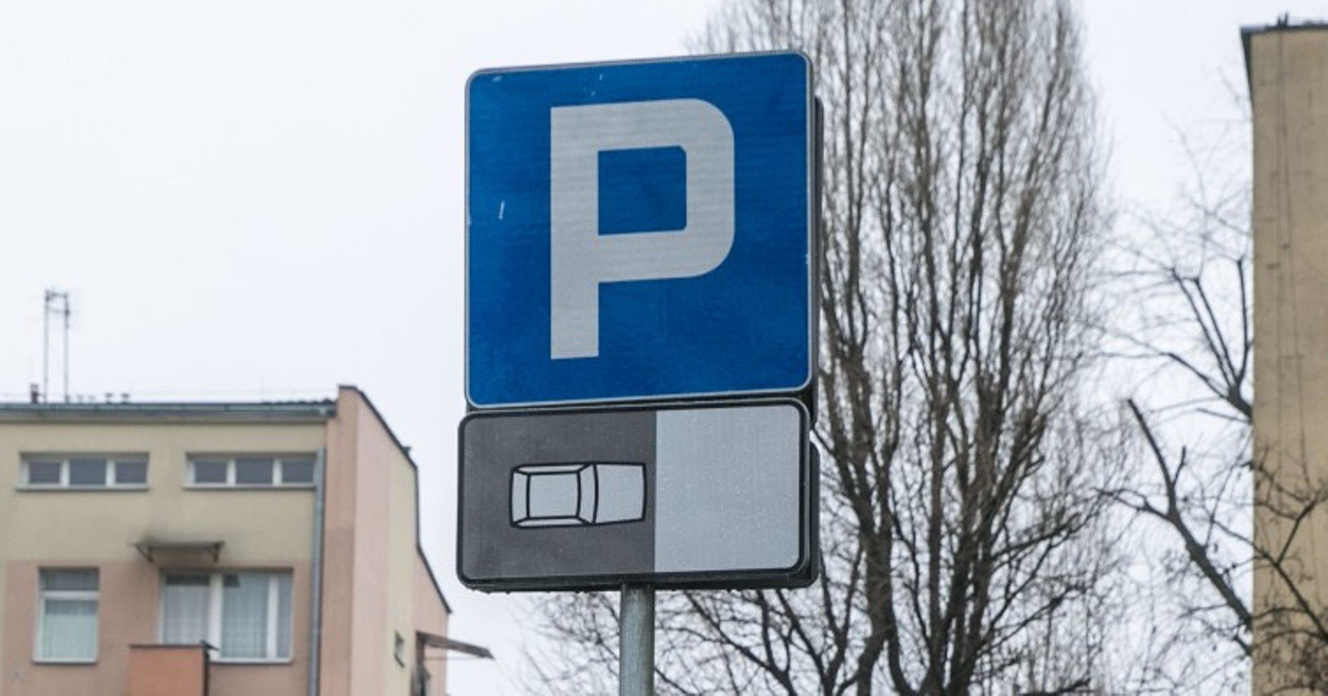 Zdjęcie podglądowe