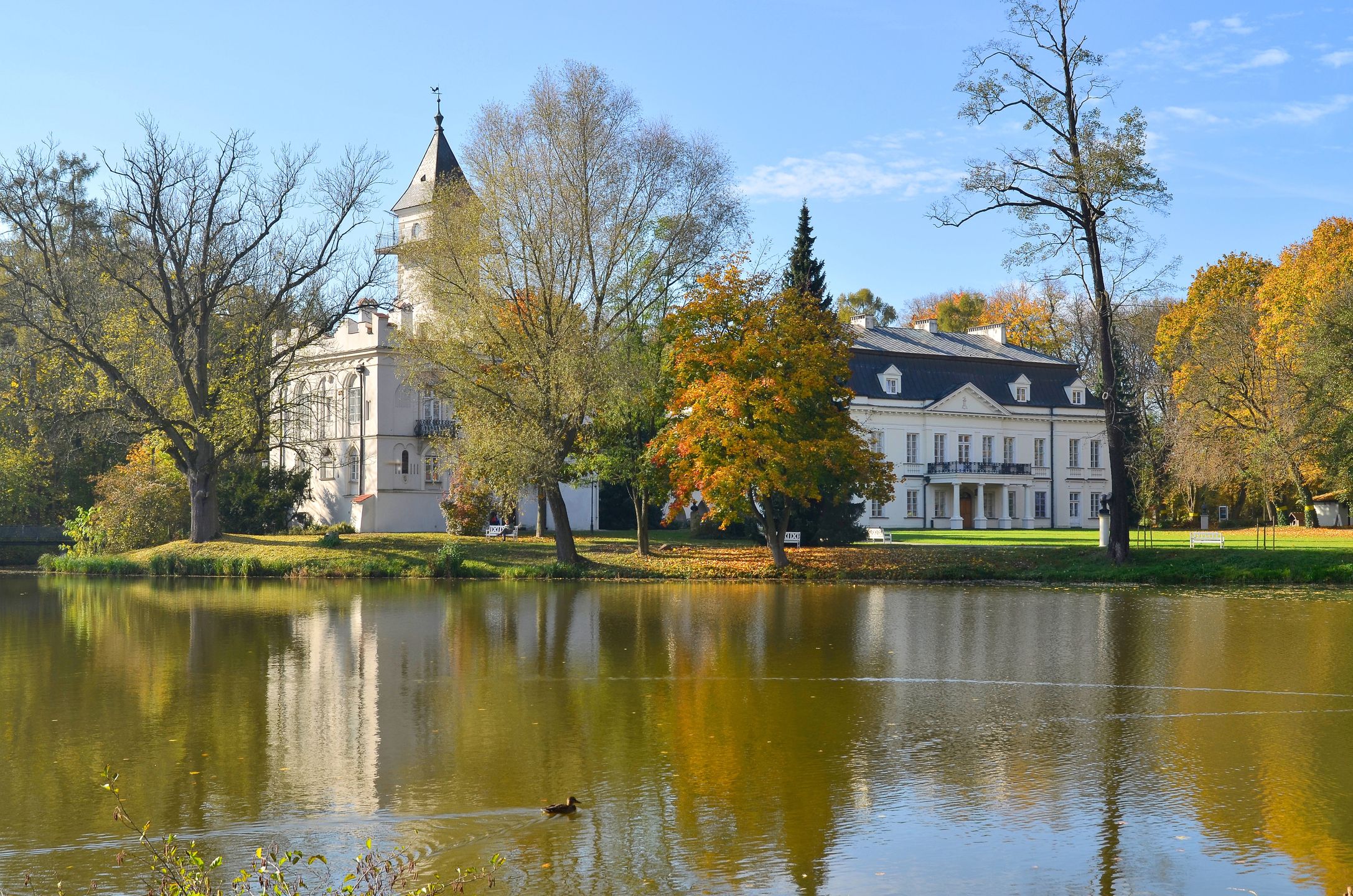 Pałac w Radziejowicach
