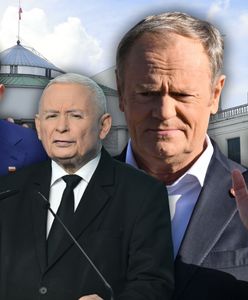 Potrzebują Brauna, aby rządzić? Mamy najnowszy sondaż