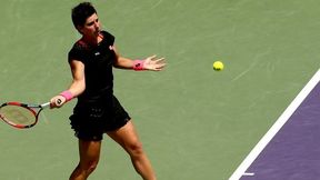 Wta Miami: C. Suarez Navarro - A. Petković (cały mecz)