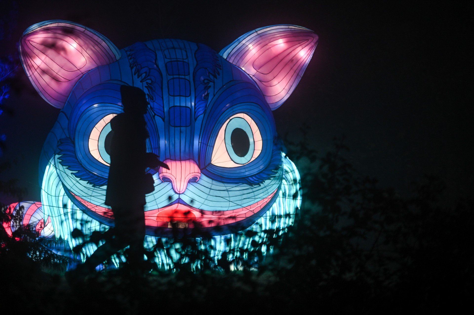 Garden Of Lights - Ogród Światła w Powsinie w 2024 zmienił się w krainę czarów Alicji. Jak będzie w tym roku?