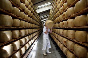 Przez 6 godzin kradli 42-kilogramowe kawały sera warte 100 tys. euro