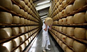 Zuchwała kradzież. Zwinęli ser za ponad 100 tys. euro