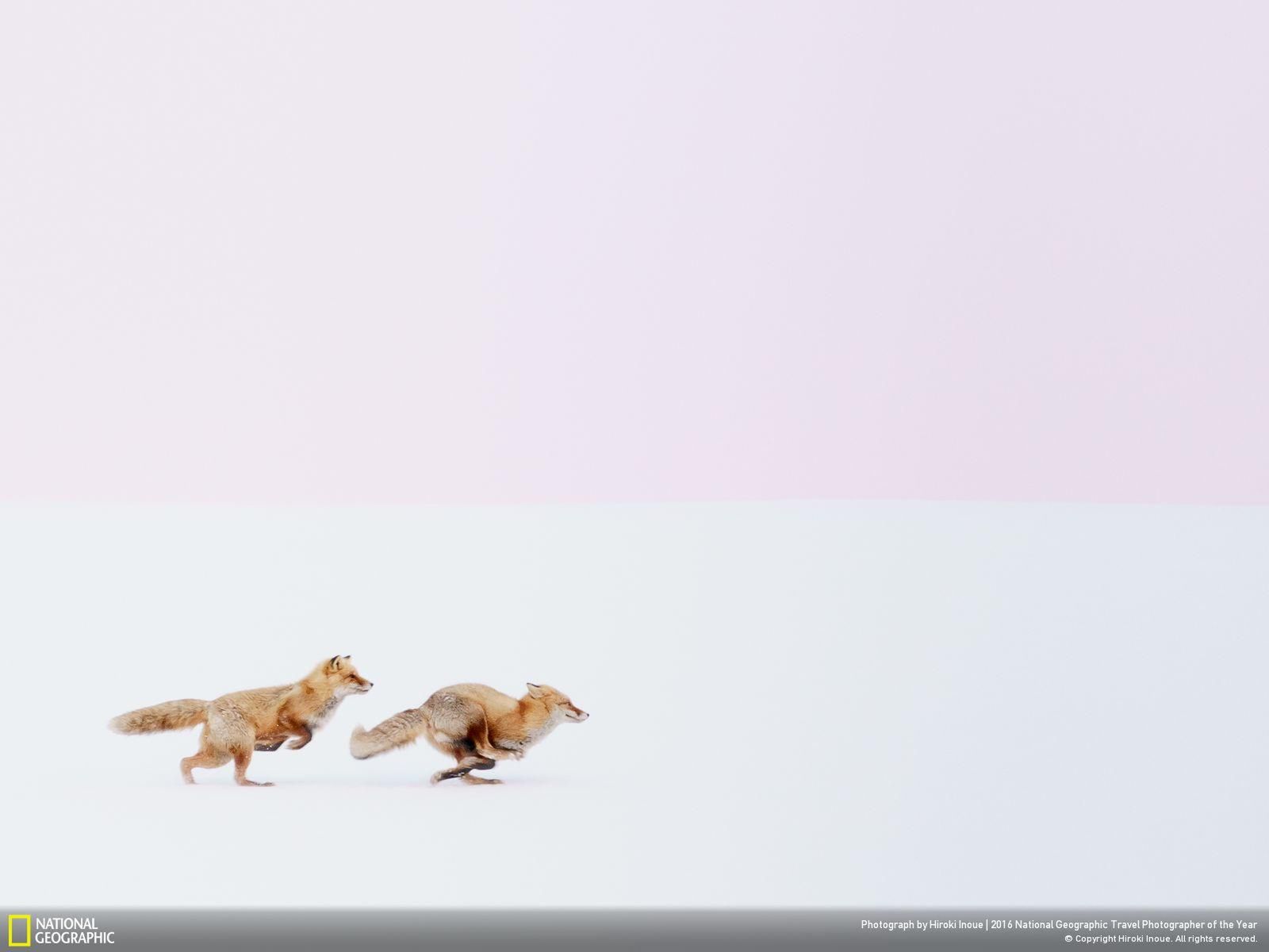 Znamy zwycięzców prestiżowego konkursu Travel Photographer of the Year 2016 3