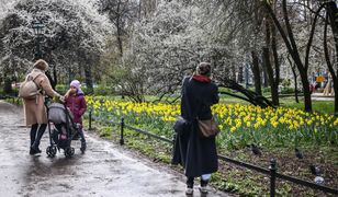 Pogoda na Wielkanoc. Będzie ciepło, ale trzeba uważać