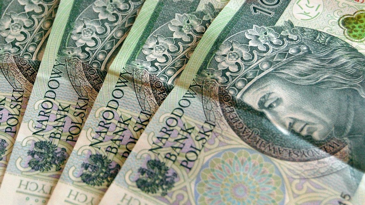 pieniądze, 500 plus, waluty, złoty, sto złotych