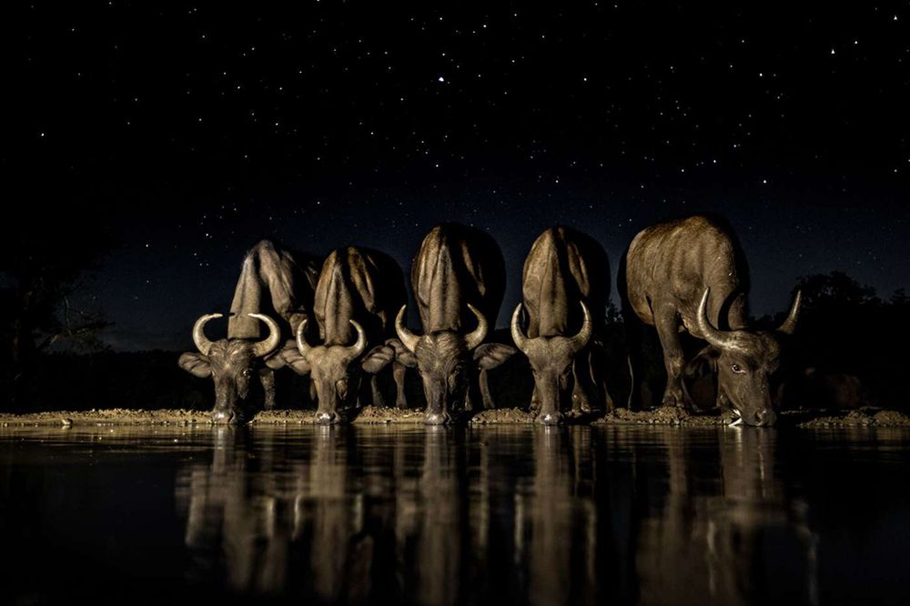 Przedstawiamy wam najlepsze z ostatnio zgłoszonych zdjęć w konkursie National Geographic Travel Photographer of the Year 2016 6