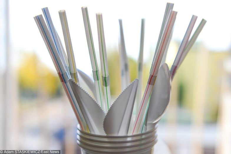 Zdaniem naukowców, plastikowe jednorazówki stanowią 70 proc. odpadów morskich.