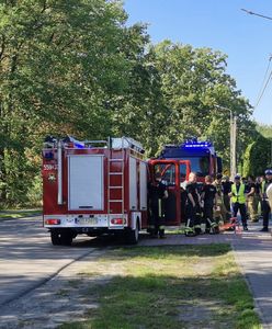 Nietypowy wypadek. Kolarze zderzyli się z dzikami