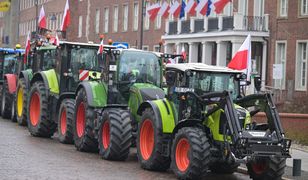 Oto ile produktów rolnych wjechało z Ukrainy do Polski. Podali liczby