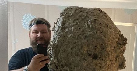 Odkrycie na strychu. Czegoś takiego nie widział w całej swojej karierze