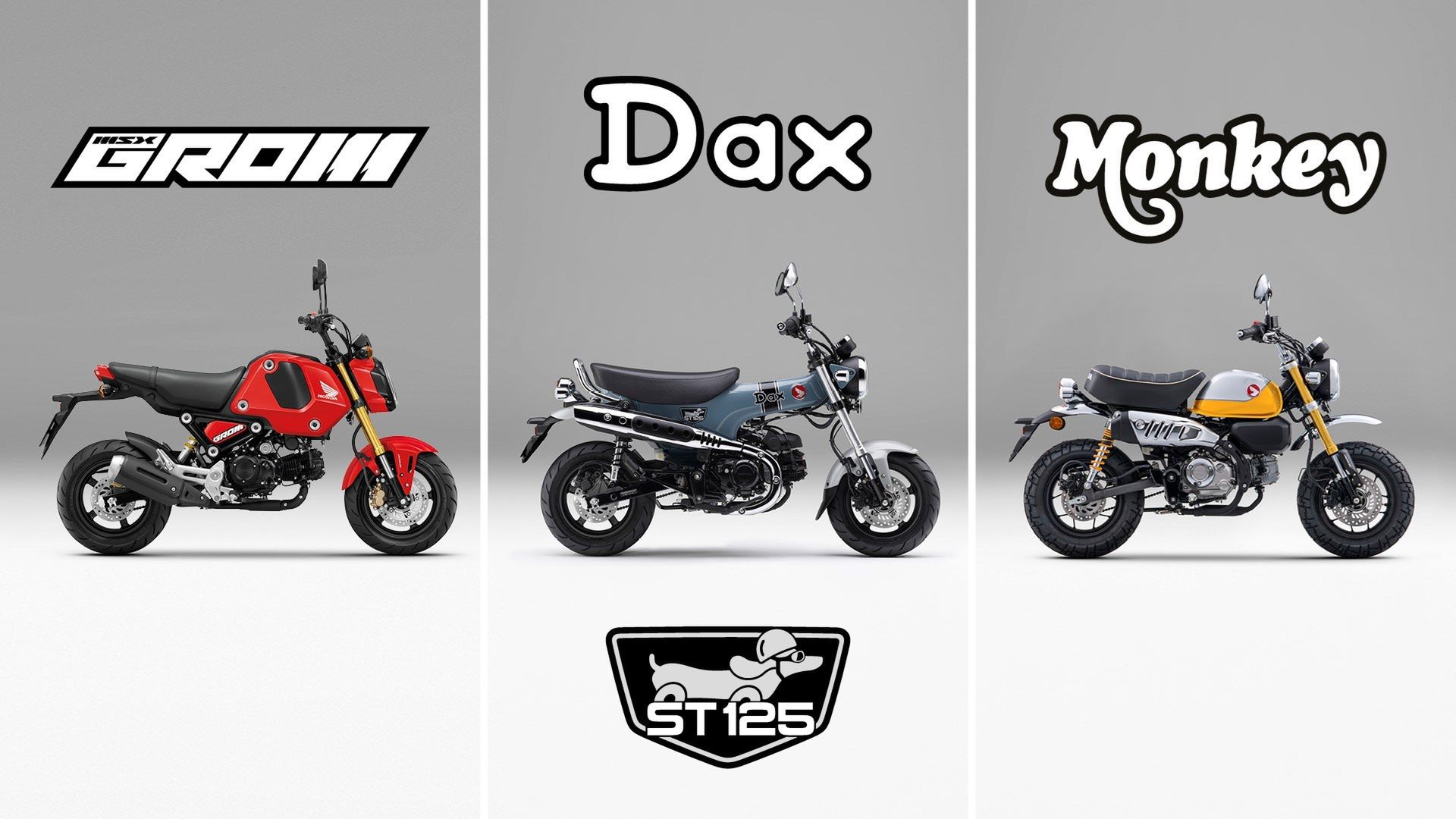 Honda Grom, Dax i Monkey