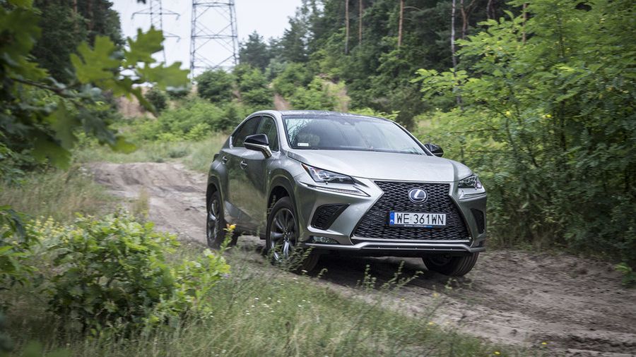 Lexus NX 300h (fot. Mateusz Żuchowski)