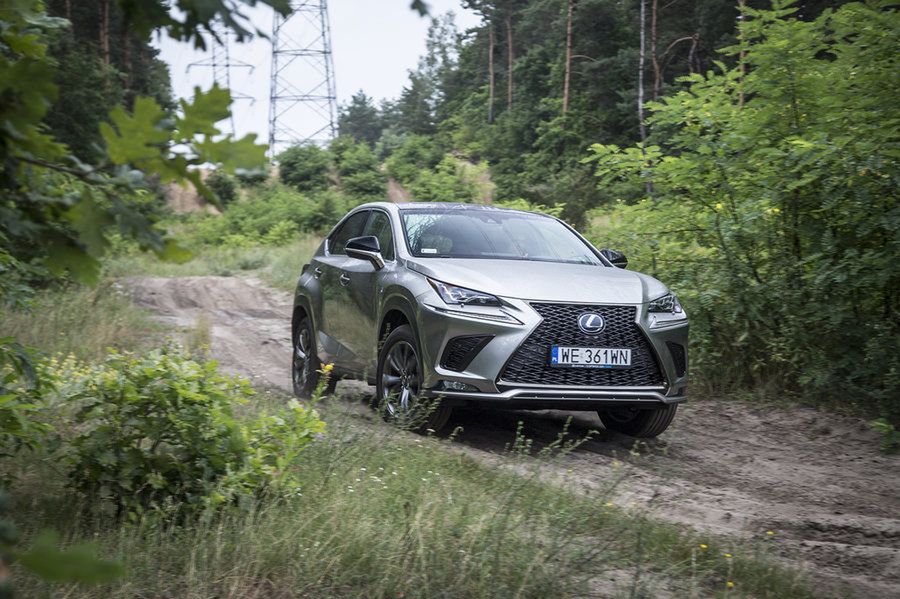 Lexus NX 300h (fot. Mateusz Żuchowski)