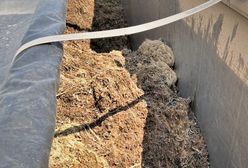 Wrocław. Nielegalny transport śmieci. Naliczono potężną karę