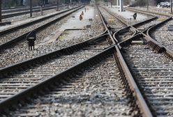 Tragedia w Małopolsce. Kobieta wpadła pod pociąg