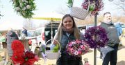Legnica: Targowisko Bartoszów. Zdrowa żywność, lokalni dostawcy, rękodzieło. Zobacz na zdjęciach, co można tu kupić i za ile