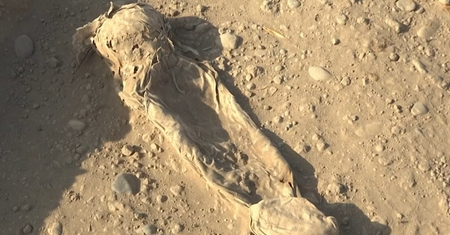 To prawdziwa sensacja. Archeolodzy z Peru dokonali historycznego odkrycia