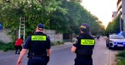 Rój pszczół w Poznaniu. Interweniowała Straż Miejska z pszczelarzem